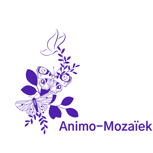 Animo-Mozaiek